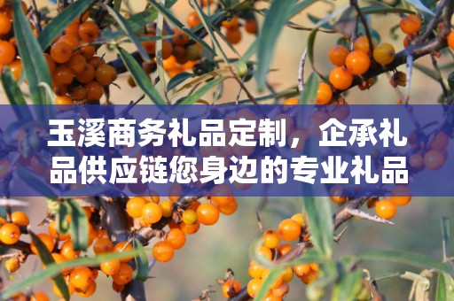 玉溪商务礼品定制，企承礼品供应链您身边的专业礼品定制公司